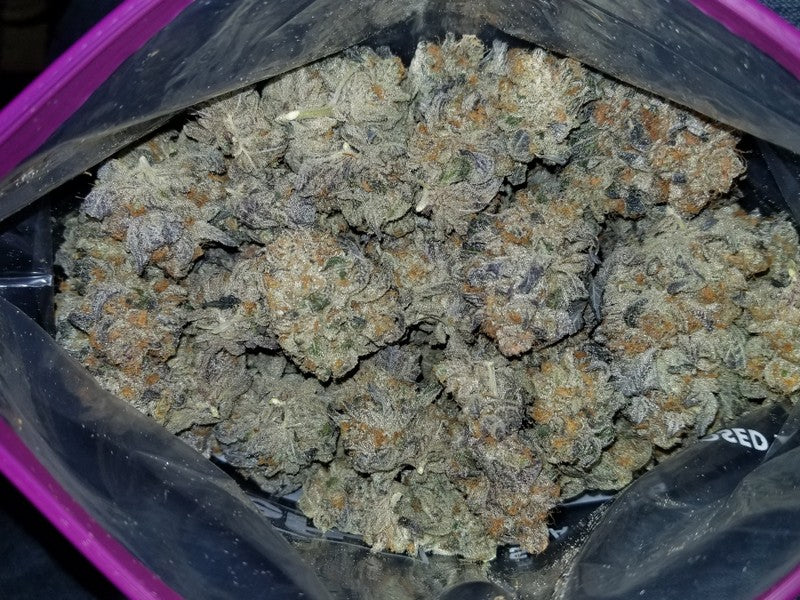 Do-Si-Dos Hybrid - Popcorn Buds Cannabis 3g | Dis-can Johannesburg - image 9