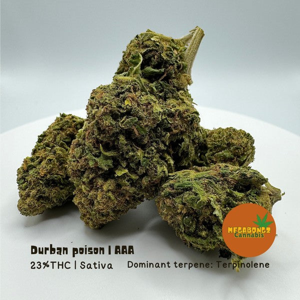 Durban Poison Sativa - Greenhouse Cannabis 5g | Johannesburg | Dis-can - image 3