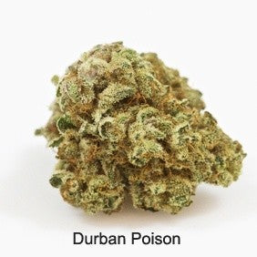Durban Poison Sativa - Greenhouse Cannabis 5g | Johannesburg | Dis-can - image 8