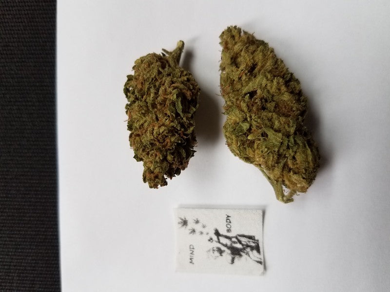 Durban Poison Sativa - Greenhouse Cannabis 5g | Johannesburg | Dis-can - image 12