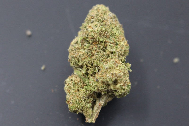 Durban Poison Sativa - Greenhouse Cannabis 5g | Johannesburg | Dis-can - image 16