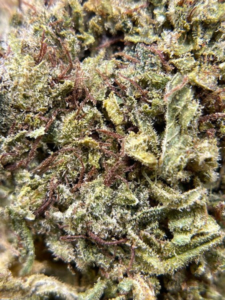 Durban Poison Sativa - Greenhouse Cannabis 5g | Johannesburg | Dis-can - image 17