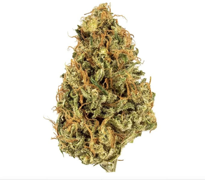 Durban Poison Sativa - Greenhouse Cannabis 5g | Johannesburg | Dis-can - image 22