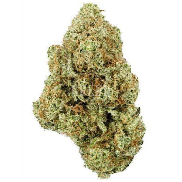 Durban Poison Sativa - Greenhouse Cannabis 5g | Johannesburg | Dis-can - image 23