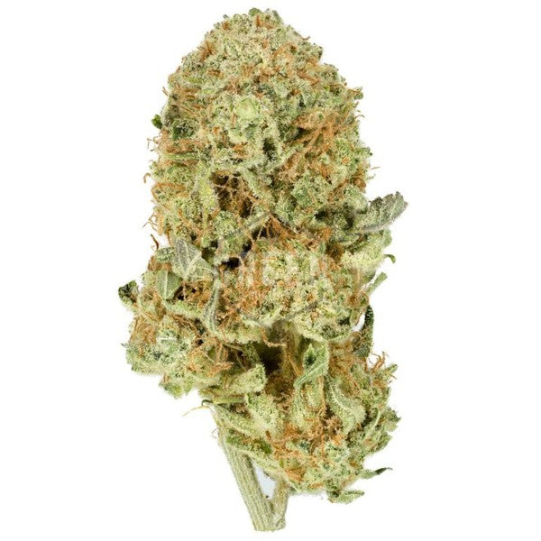 Durban Poison Sativa - Greenhouse Cannabis 5g | Johannesburg | Dis-can - image 24