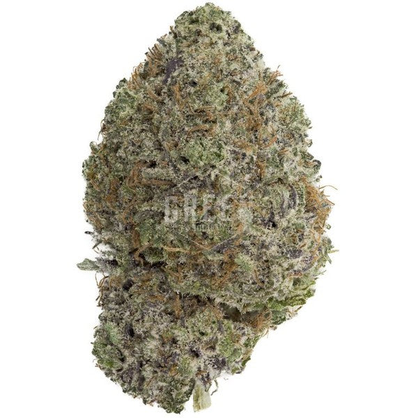 Durban Poison Sativa - Greenhouse Cannabis 5g | Johannesburg | Dis-can - image 25