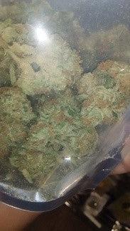 Durban Poison Sativa - Greenhouse Cannabis 5g | Johannesburg | Dis-can - image 27