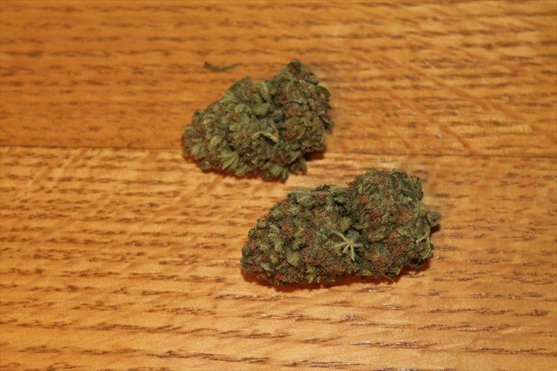 Durban Poison Sativa - Greenhouse Cannabis 5g | Johannesburg | Dis-can - image 30