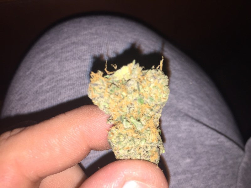 Durban Poison Sativa - Greenhouse Cannabis 5g | Johannesburg | Dis-can - image 31