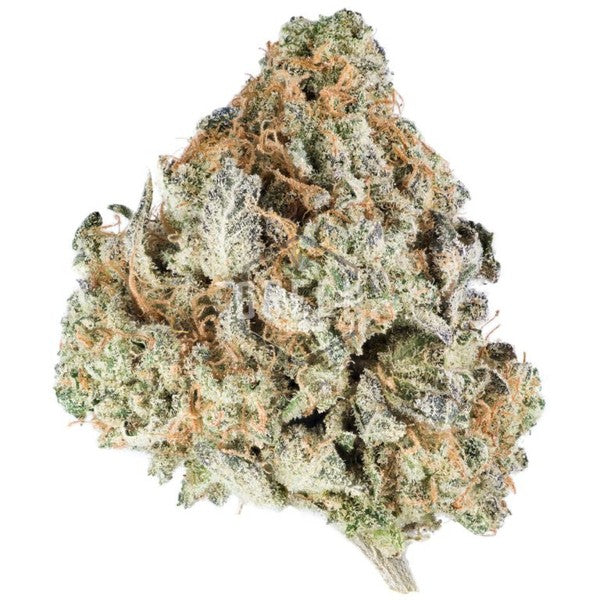 Durban Poison Sativa - Greenhouse Cannabis 5g | Johannesburg | Dis-can - image 34