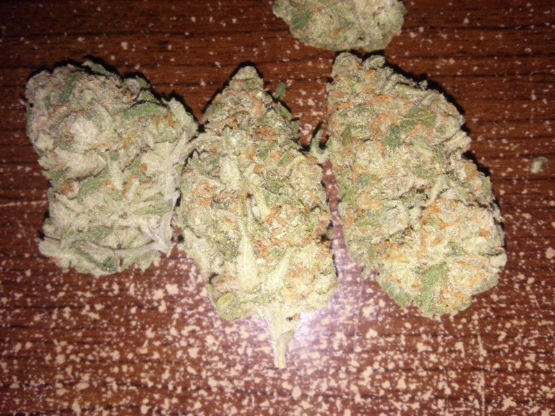 Durban Poison Sativa - Greenhouse Cannabis 5g | Johannesburg | Dis-can - image 37