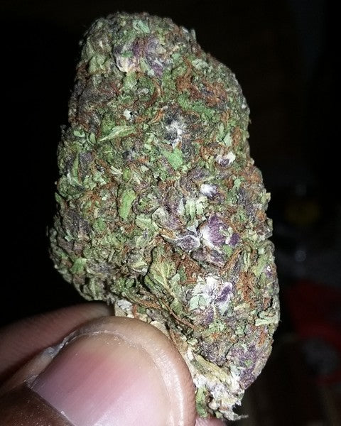 Durban Poison Sativa - Greenhouse Cannabis 5g | Johannesburg | Dis-can - image 38