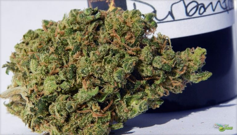 Durban Poison Sativa - Greenhouse Cannabis 5g | Johannesburg | Dis-can - image 40