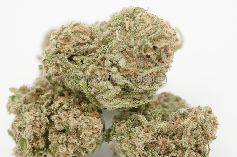 Durban Poison Sativa - Greenhouse Cannabis 5g | Johannesburg | Dis-can - image 43