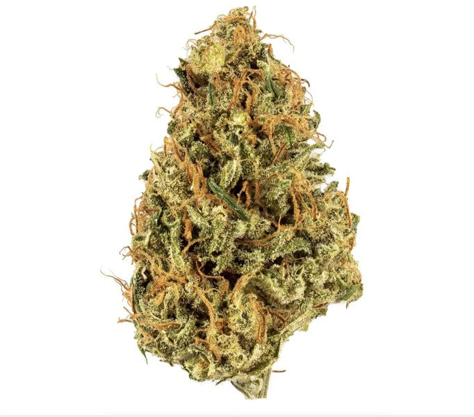 Durban Poison Sativa - Greenhouse Cannabis 5g | Johannesburg | Dis-can - image 44