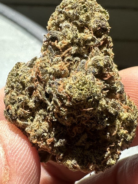 Fire Crouch Hybrid - Indoor AAA Cannabis 20g | Dis-can Johannesburg - image 2