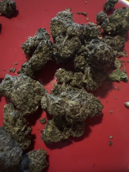 Galactic Runtz Hybrid - Indoor AAA Cannabis 20g | Dis-can Johannesburg - image 3