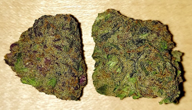 Gelato 45 Hybrid - Indoor AAA Cannabis 20g | Dis-can Johannesburg - image 1