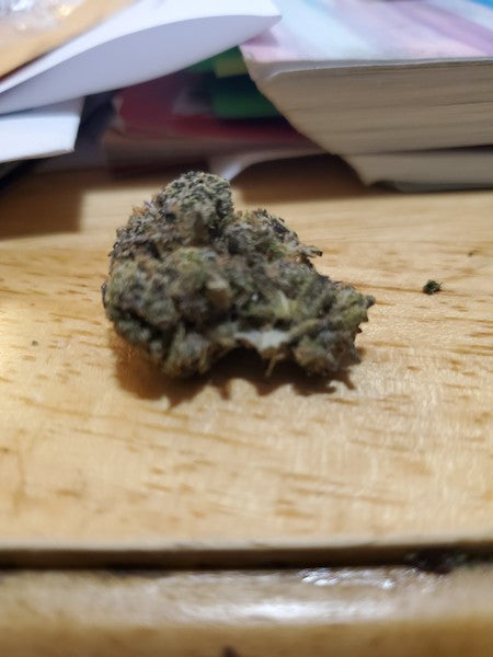 Gelato 45 Hybrid - Indoor AAA Cannabis 20g | Dis-can Johannesburg - image 2