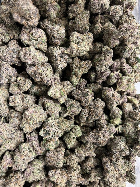 Gelato 45 Hybrid - Indoor AAA Cannabis 20g | Dis-can Johannesburg - image 4