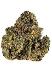 Gelato 45 Hybrid - Indoor AAA Cannabis 20g | Dis-can Johannesburg - image 5