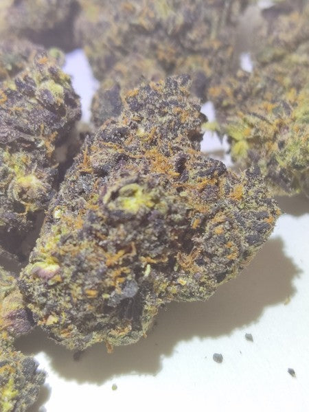 Gelato 45 Hybrid - Indoor AAA Cannabis 20g | Dis-can Johannesburg - image 6