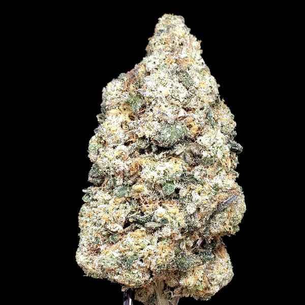 Glitter Bomb Hybrid - Indoor AAA Cannabis 10g | Dis-can Johannesburg