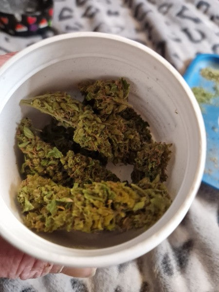 Glitter Bomb Hybrid - Indoor AAA Cannabis 10g | Dis-can Johannesburg - image 4