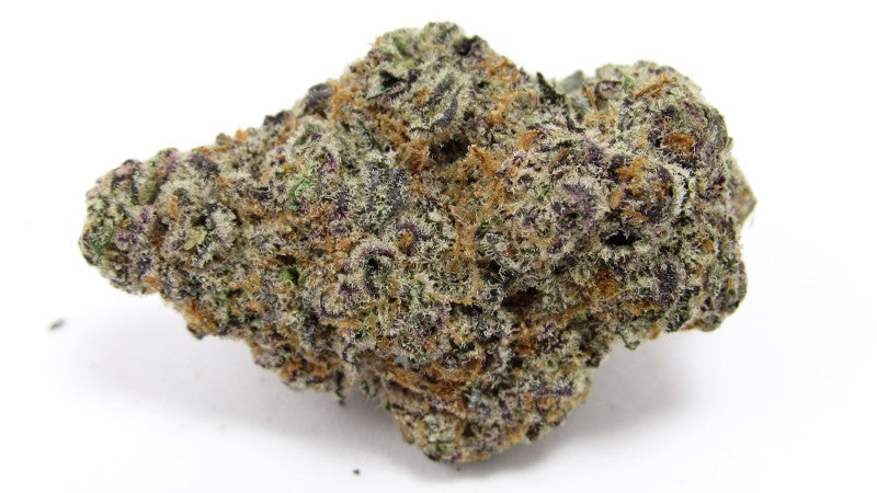 Glitter Bomb Hybrid - Indoor AAA Cannabis 10g | Dis-can Johannesburg - image 6