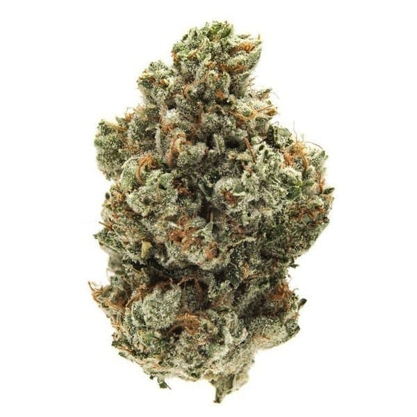 Gorilla Breath Hybrid - Tunnel Cannabis 3g | Dis-can Johannesburg - image 8
