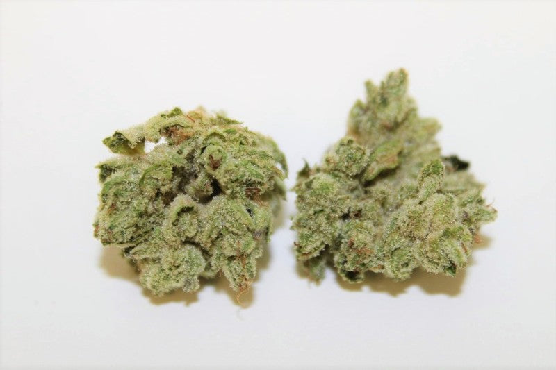 Gorilla Breath Hybrid - Tunnel Cannabis 3g | Dis-can Johannesburg - image 9