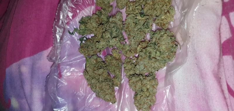 Gorilla Breath Hybrid - Tunnel Cannabis 3g | Dis-can Johannesburg - image 12
