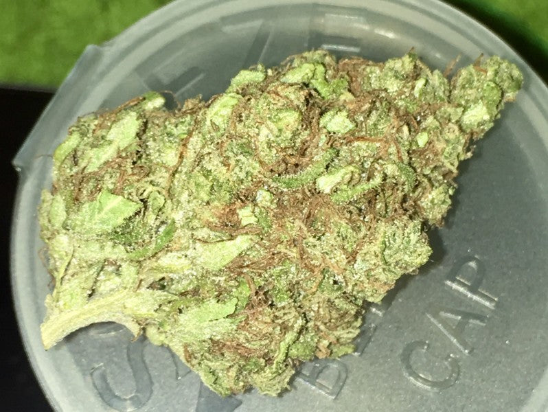 Grapefruit Diesel (Organic) Hybrid - Indoor AAA Cannabis 20g | Dis-can Johannesburg - image 2