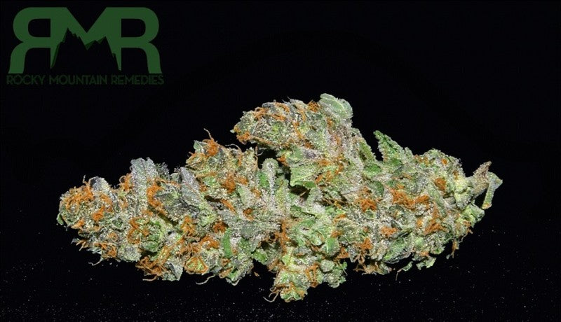 Grapefruit Diesel (Organic) Hybrid - Indoor AAA Cannabis 20g | Dis-can Johannesburg - image 4