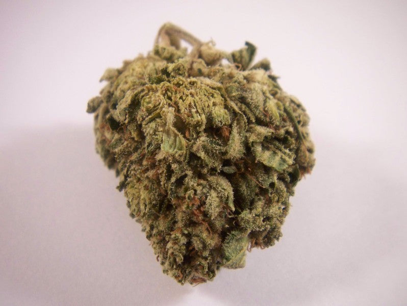 Green Goblin Hybrid - Greenhouse Cannabis 10g | Dis-can Johannesburg - image 2