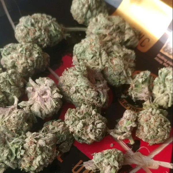 Green Goblin Hybrid - Greenhouse Cannabis 10g | Dis-can Johannesburg - image 3