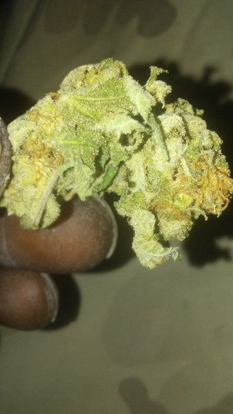 Green Goblin Hybrid - Greenhouse Cannabis 10g | Dis-can Johannesburg - image 6