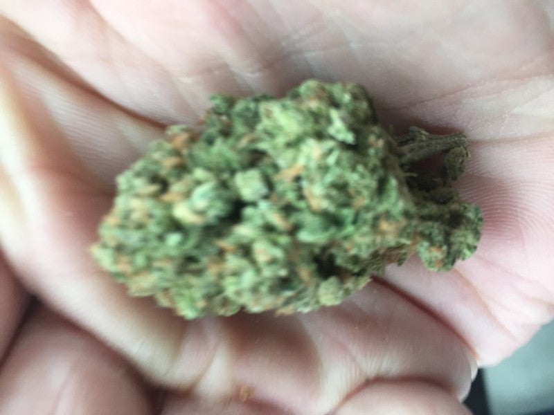 Gumbo Hybrid - Indoor AAA Cannabis 10g | Dis-can Johannesburg