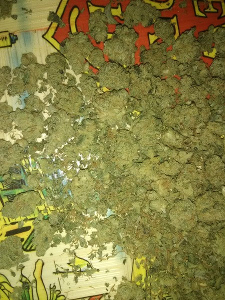 Gumbo Hybrid - Indoor AAA Cannabis 10g | Dis-can Johannesburg
