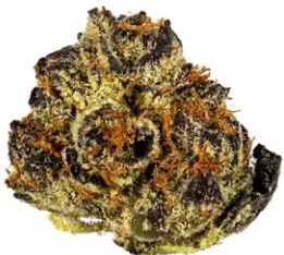 Ice Cream Cake Indica - Indoor AAA Cannabis 20g | Johannesburg | Dis-can - image 3