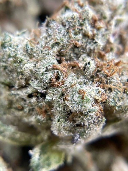 Ice Cream Cake Indica - Indoor AAA Cannabis 20g | Johannesburg | Dis-can - image 9
