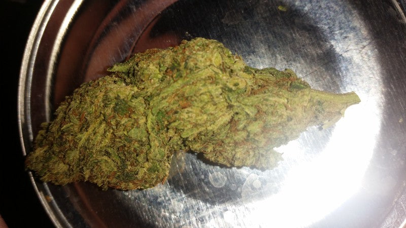 Ice Cream Cake Indica - Indoor AAA Cannabis 20g | Johannesburg | Dis-can - image 19