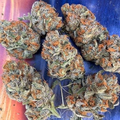 Ice Cream Cake Indica - Indoor AAA Cannabis 20g | Johannesburg | Dis-can - image 24
