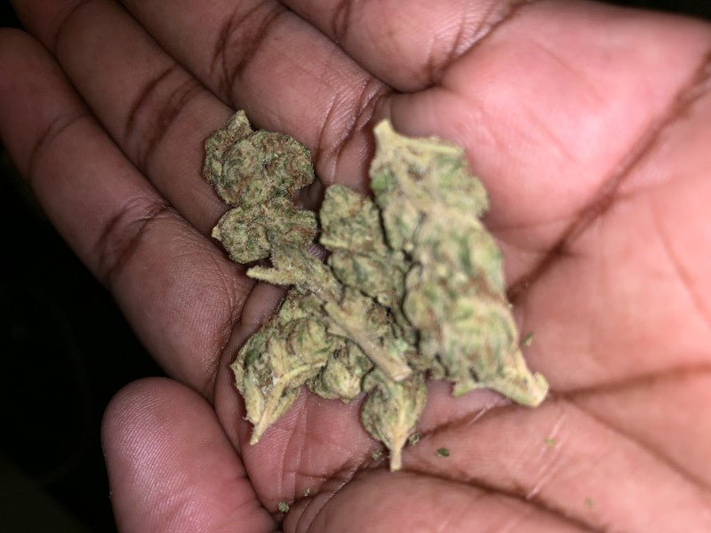 Ice Cream Cake Indica - Indoor AAA Cannabis 20g | Johannesburg | Dis-can - image 26