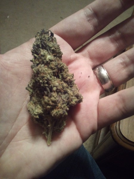 Ice Cream Cake Indica - Indoor AAA Cannabis 20g | Johannesburg | Dis-can - image 27