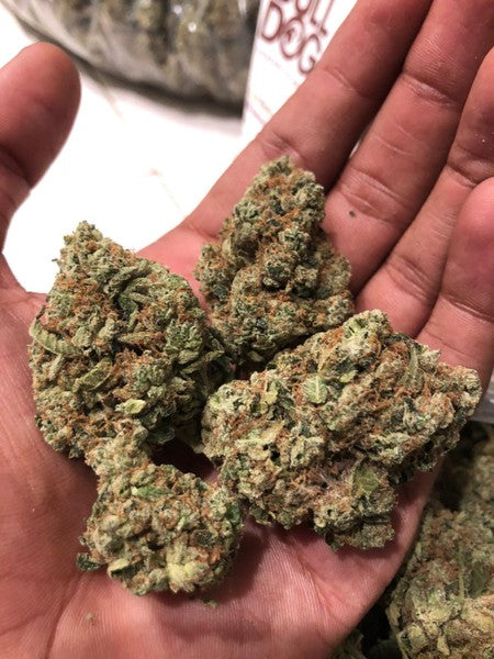 Ice Cream Cake Indica - Indoor AAA Cannabis 20g | Johannesburg | Dis-can - image 31
