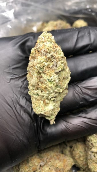 Ice Cream Cake Indica - Indoor AAA Cannabis 20g | Johannesburg | Dis-can - image 33