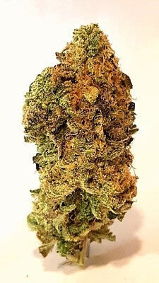 Jungle Cake Hybrid - Indoor AAA Cannabis 20g | Dis-can Johannesburg - image 1