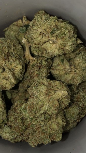 Jungle Cake Hybrid - Indoor AAA Cannabis 20g | Dis-can Johannesburg - image 3