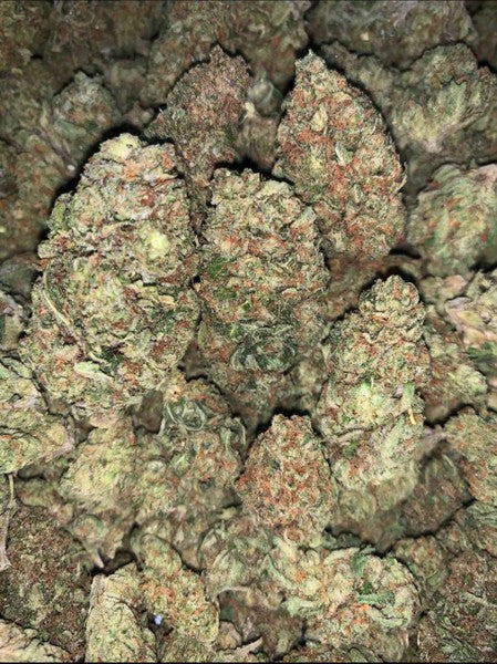 Jungle Cake Hybrid - Indoor AAA Cannabis 20g | Dis-can Johannesburg - image 4